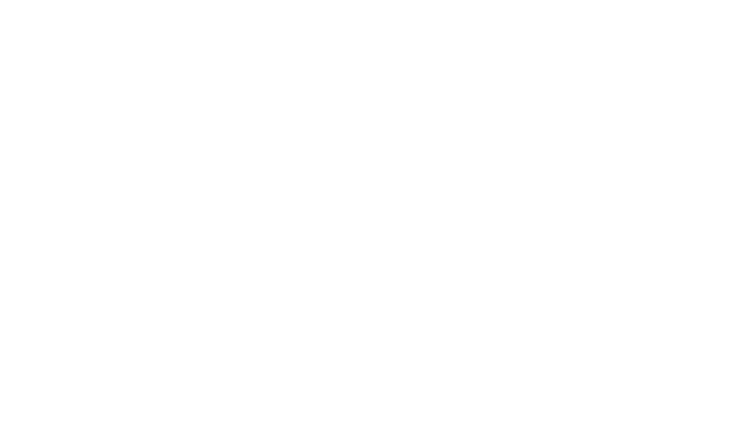 Skyline Consulting logo